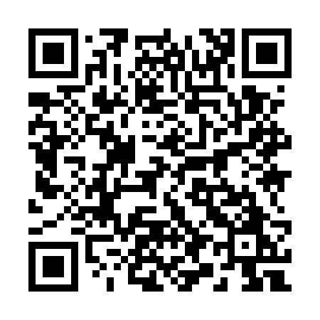 QR code for 2995RO