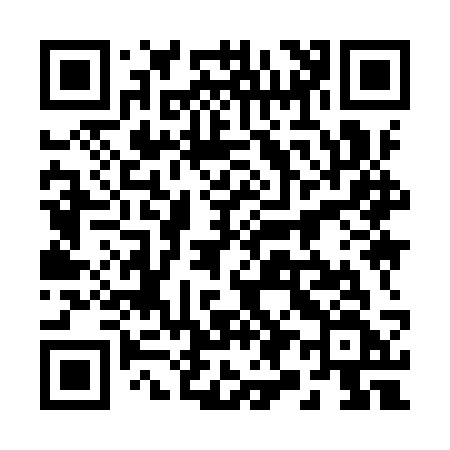 QR code for 2999SF
