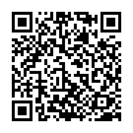 QR code for 2999SX