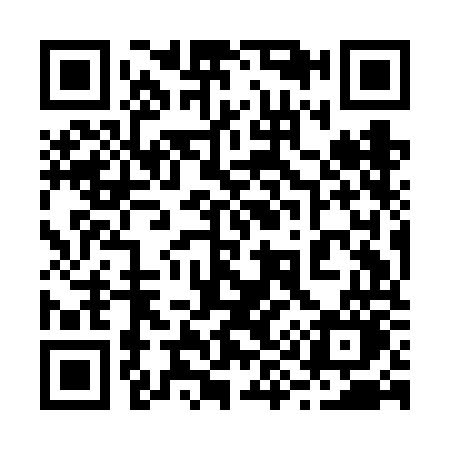 QR code for 299FOO