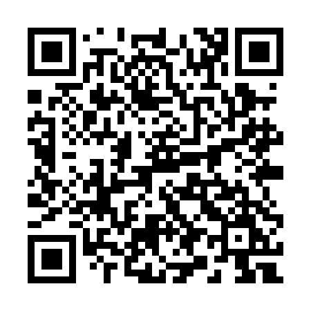 QR code for 299PDM