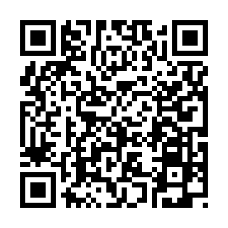 QR code for 3006DFI