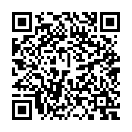 QR code for 3006PMV