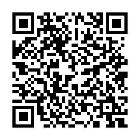 QR code for 3007SMM