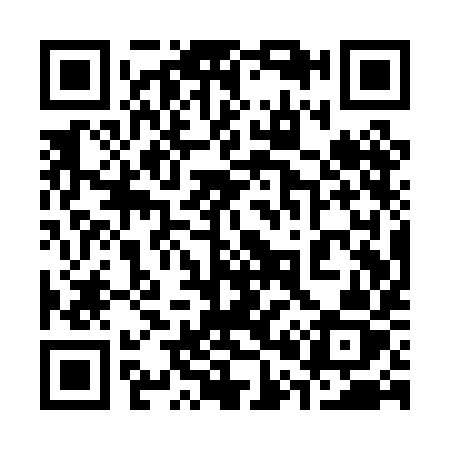 QR code for 301PIZ