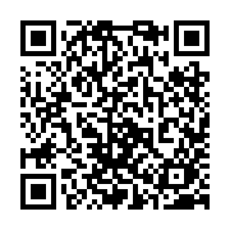 QR code for 3063IO