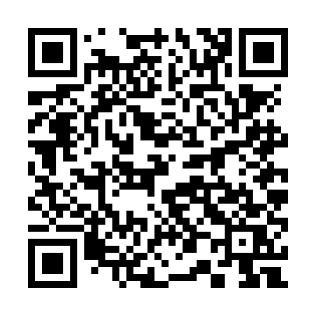 QR code for 306NES