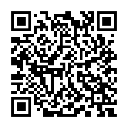 QR code for 313ATO