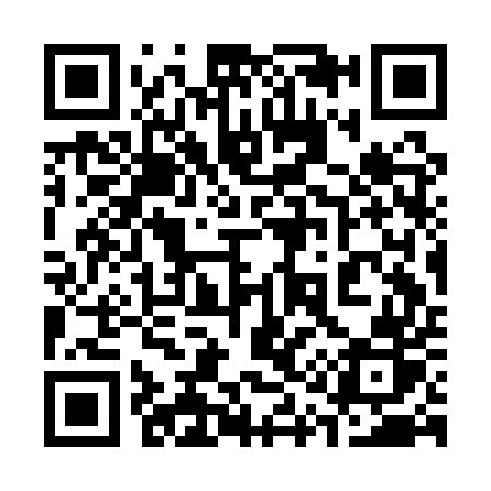 QR code for 313AUR