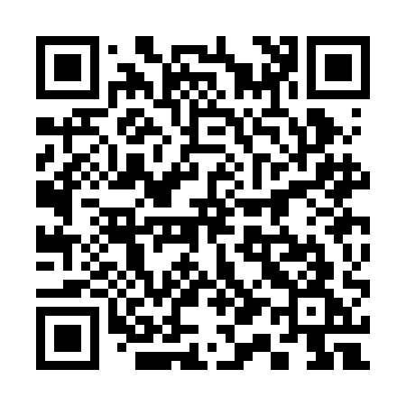 QR code for 313BAG