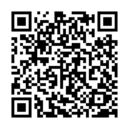 QR code for 313BZZ