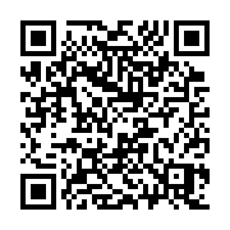 QR code for 313CPP