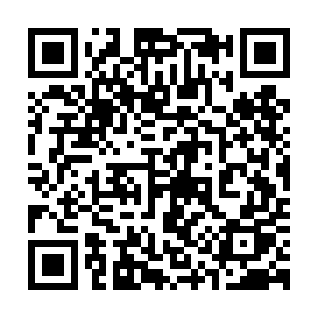 QR code for 313DEP