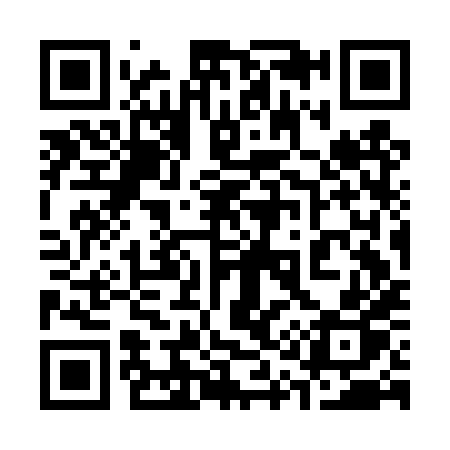 QR code for 313DXP