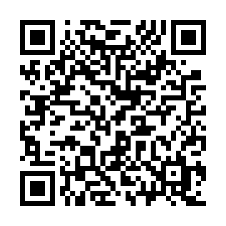 QR code for 313FPL