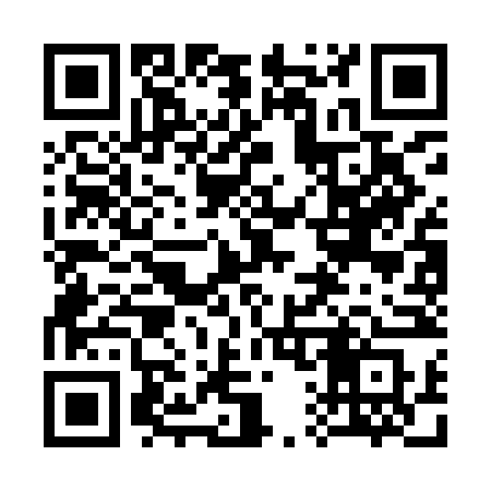 QR code for 313INS