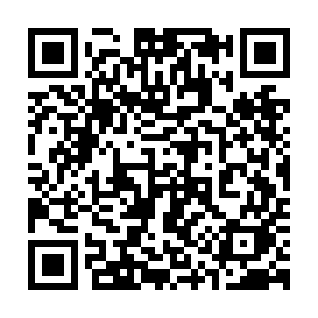 QR code for 313NEK