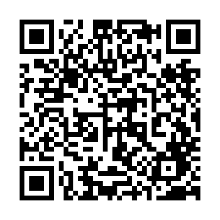 QR code for 313NMF