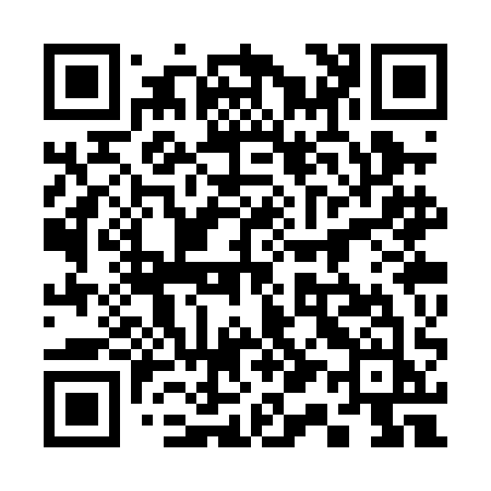QR code for 313PAJ
