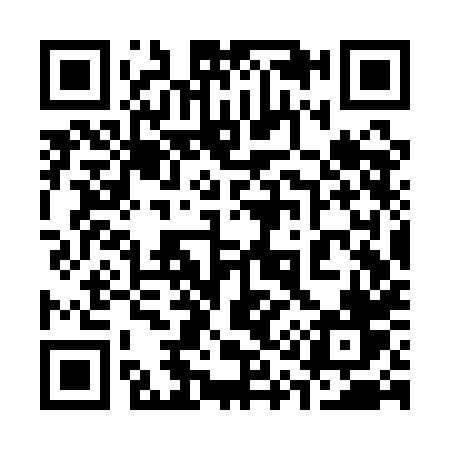QR code for 313QHV
