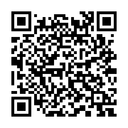 QR code for 313QSA