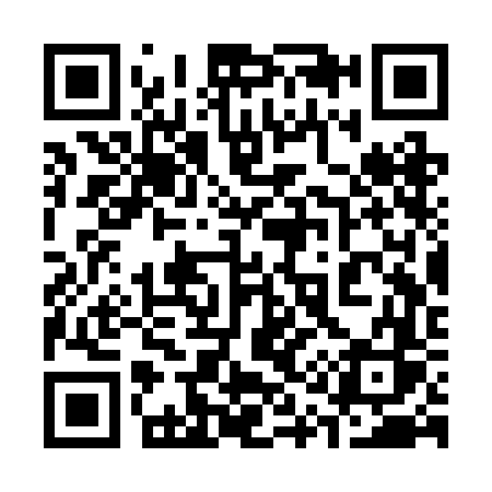 QR code for 313RFS
