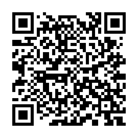 QR code for 313VLM