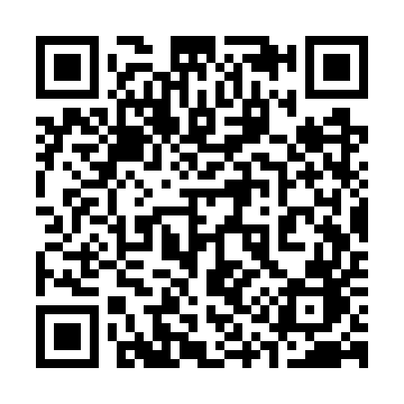 QR code for 313WUB