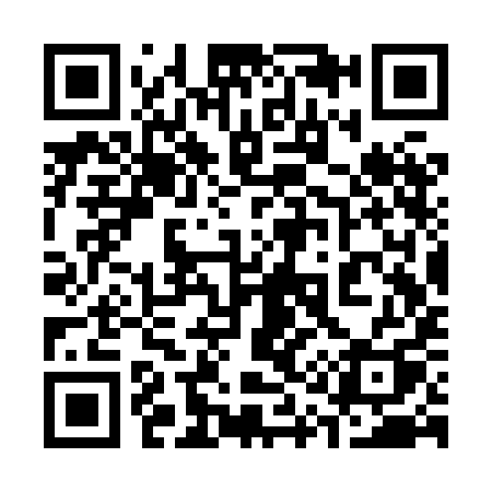 QR code for 313XIQ