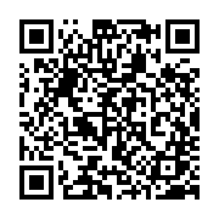 QR code for 313YNS