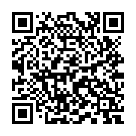 QR code for 313ZXS