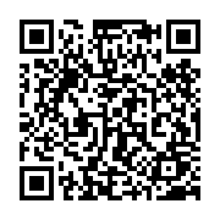 QR code for 315DOT