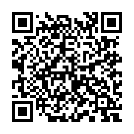 QR code for 317MIF