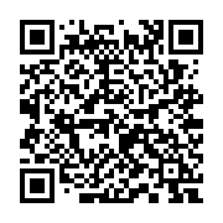 QR code for 317WEI