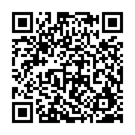 QR code for 318MSF