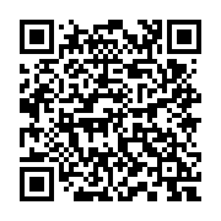 QR code for 3196VE