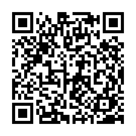 QR code for 319QGL