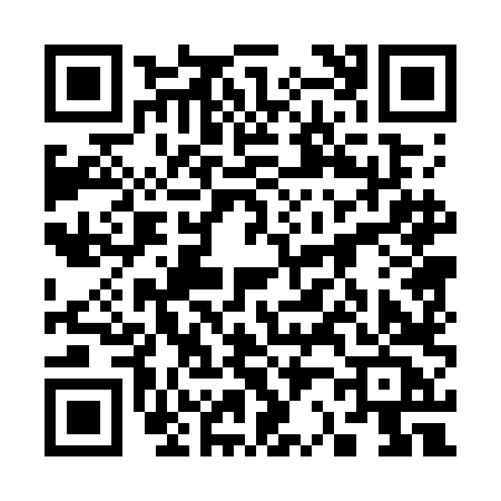 QR code for 3207LCM