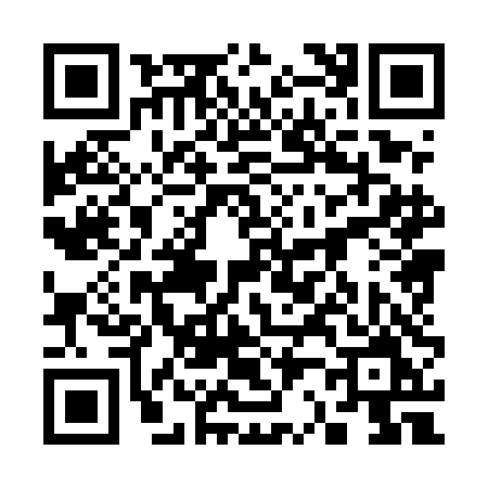 QR code for 3285DMS