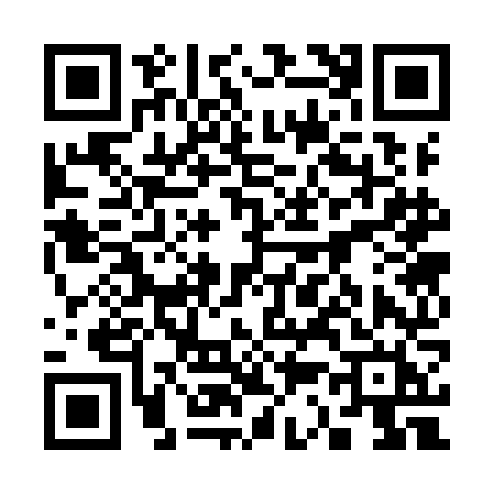 QR code for 3339NHI