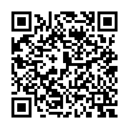 QR code for 3339PYS
