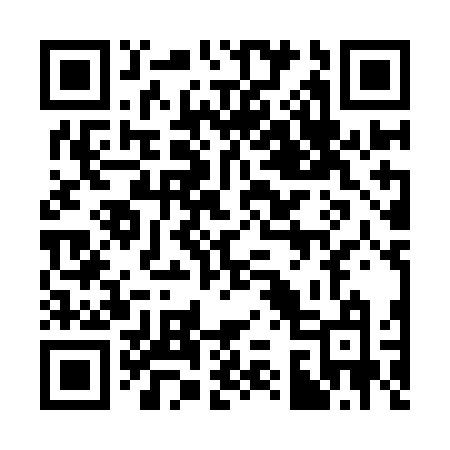 QR code for 333IFM