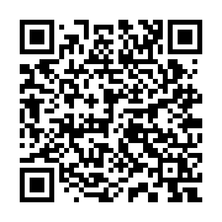 QR code for 333RNX
