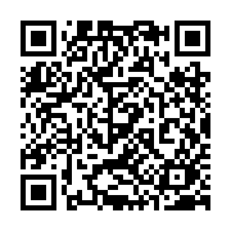 QR code for 333SAO