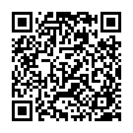QR code for 333SEG
