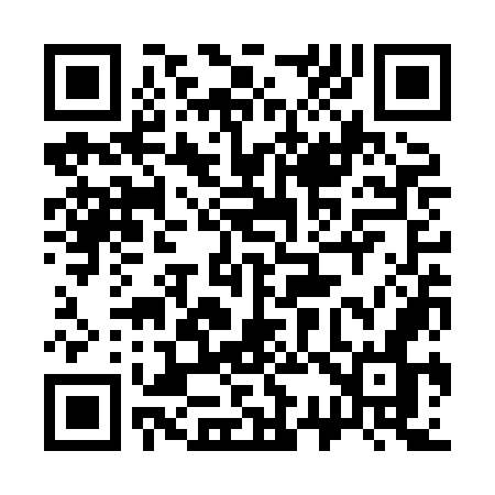 QR code for 333XON