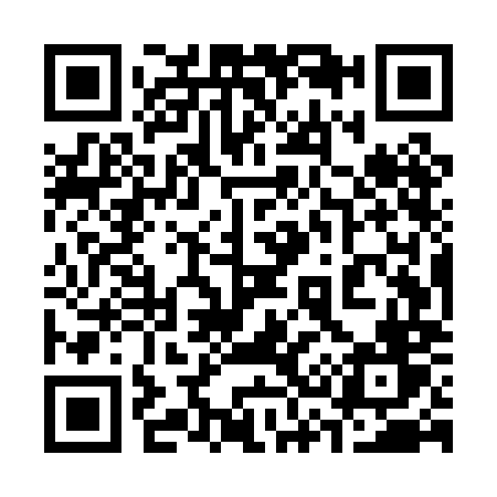 QR code for 335PMV