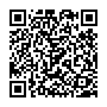 QR code for 335TOY