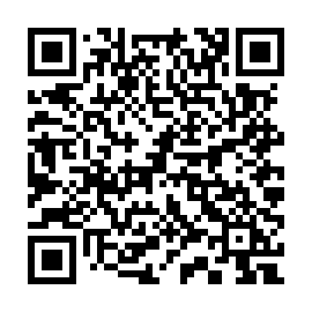 QR code for 336MPI