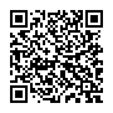 QR code for 336OIC